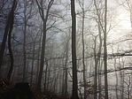 img_0556.jpg