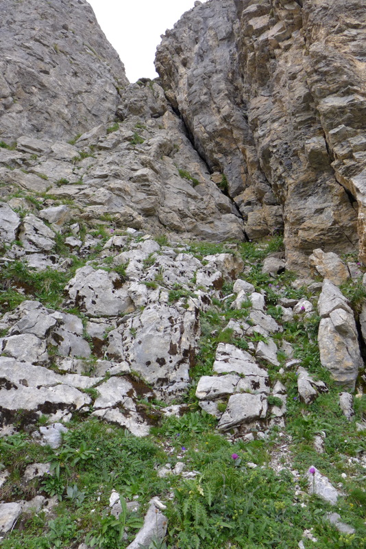 p1050900.jpg