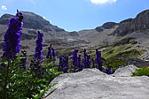 p1050881.jpg