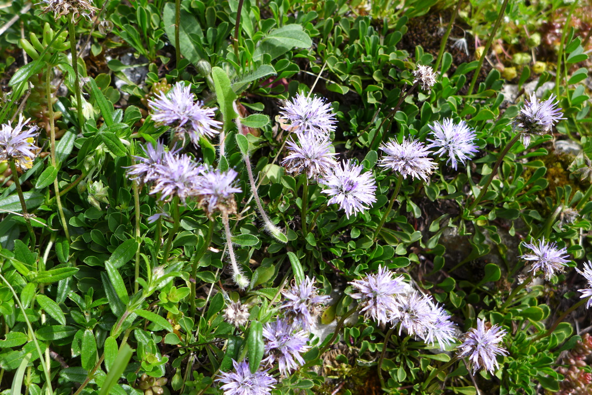 p1050087.jpg