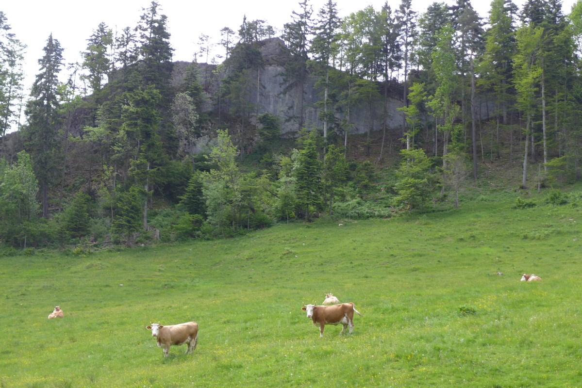 p1050088.jpg