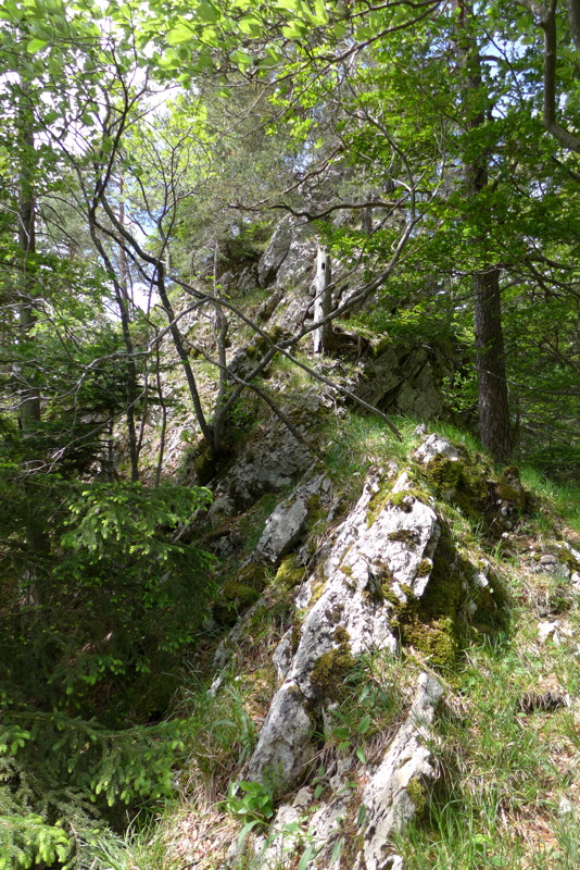 p1050090.jpg