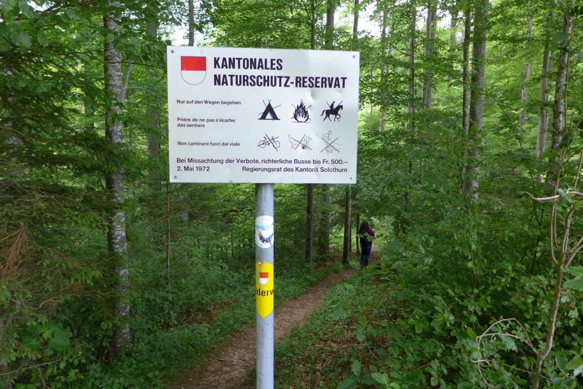 p1050092.jpg