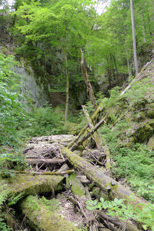 p1050094.jpg