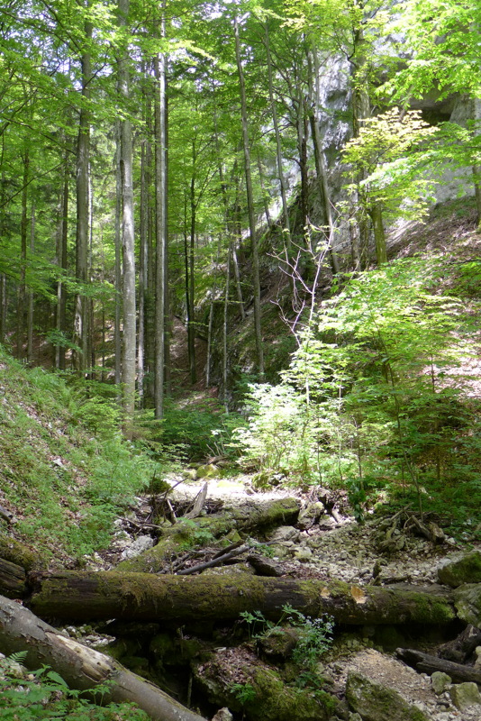 p1050096.jpg