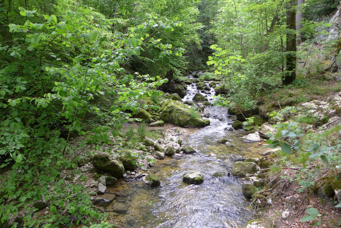 p1050099.jpg