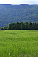 p1050081.jpg
