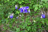p1050083.jpg