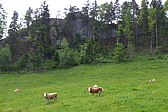p1050088.jpg