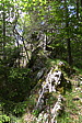 p1050090.jpg