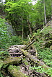 p1050094.jpg