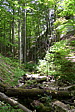 p1050096.jpg