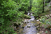 p1050099.jpg