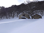 p1040013.jpg
