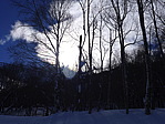 p1040019.jpg