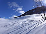 p1040023.jpg