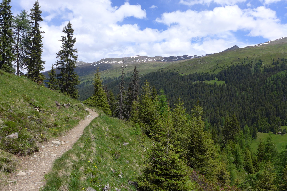 p1050237.jpg