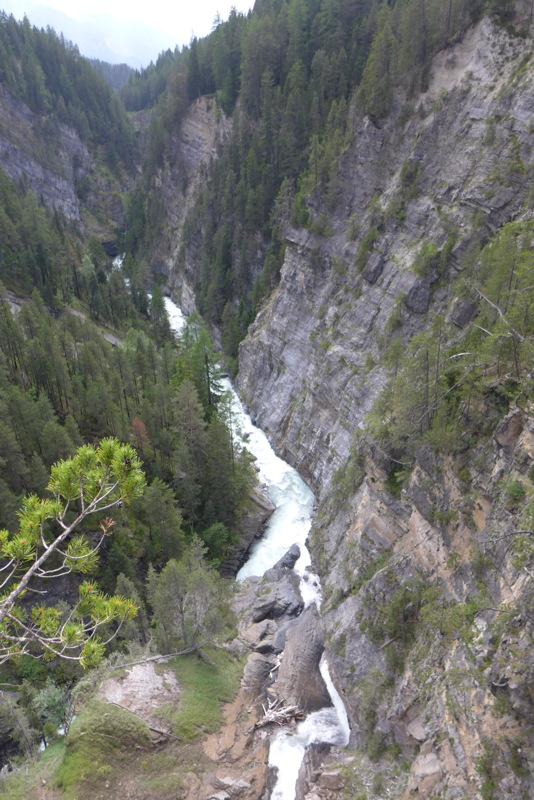 p1050248.jpg