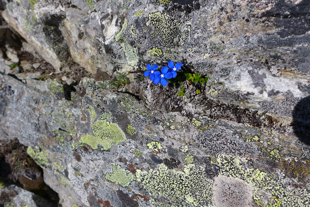 p1050516.jpg