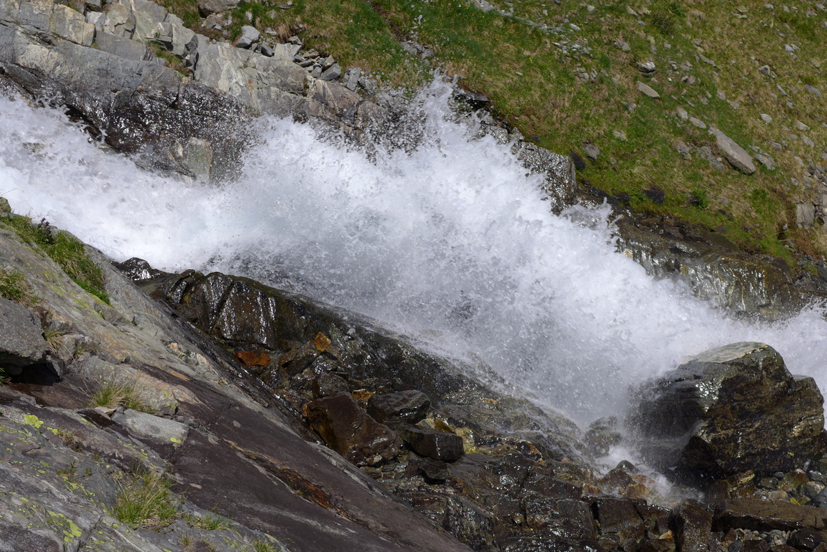 p1050560.jpg