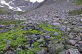 p1050510.jpg