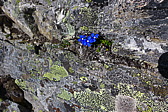 p1050516.jpg