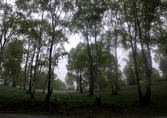 Tessinbiken I