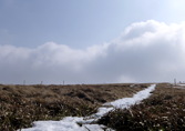 Vogesen