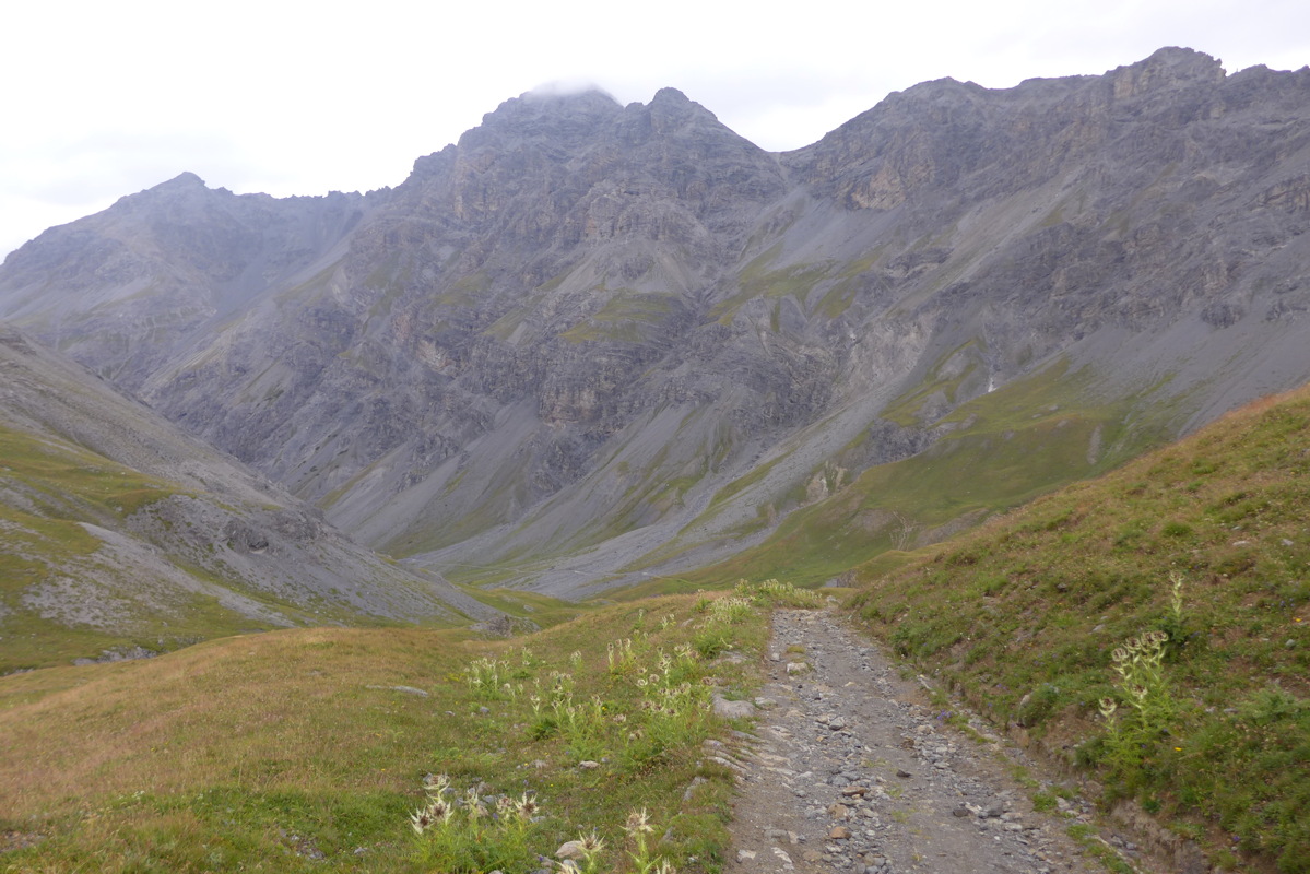 p1050833.jpg