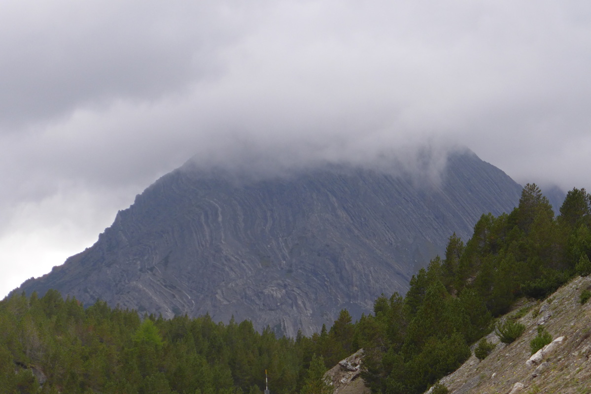 p1050835.jpg