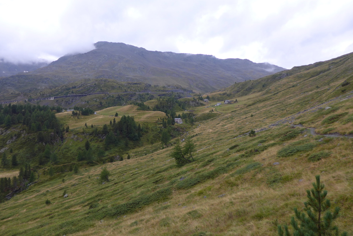 p1050840.jpg