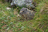 p1050818.jpg