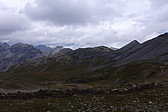 p1050823.jpg
