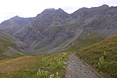 p1050833.jpg