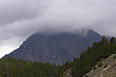 p1050835.jpg