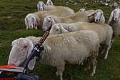 p1050850.jpg