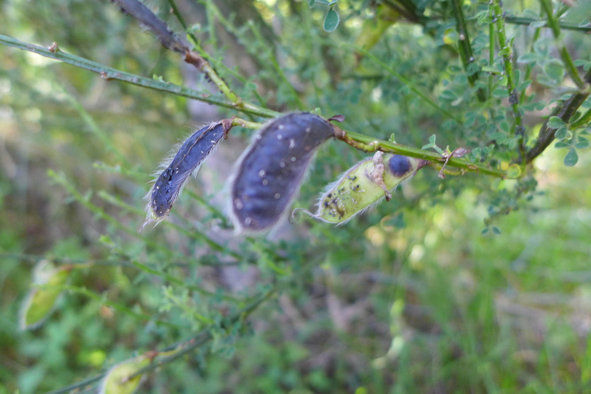 p1050443.jpg