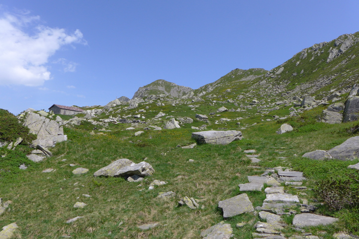 p1050466.jpg