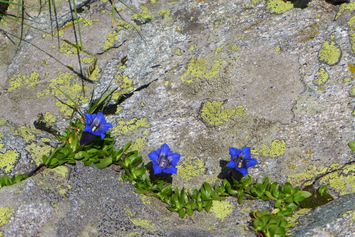 p1050468.jpg