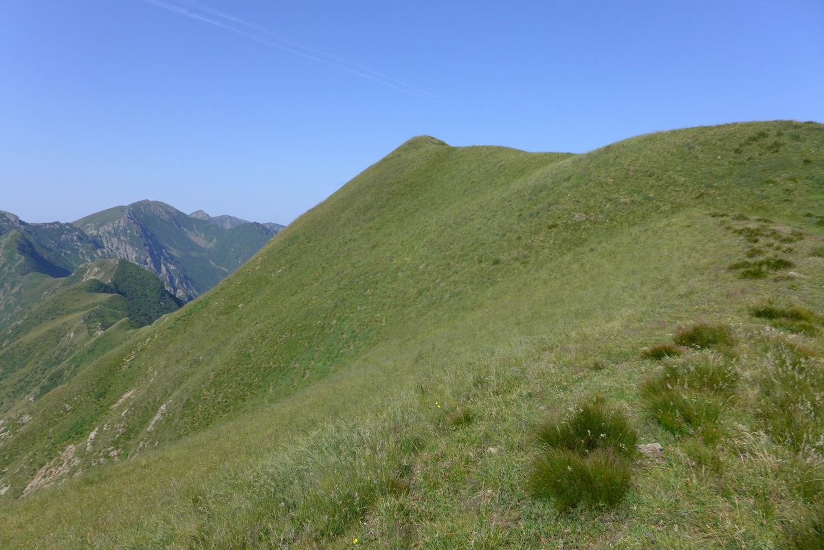 p1050487.jpg