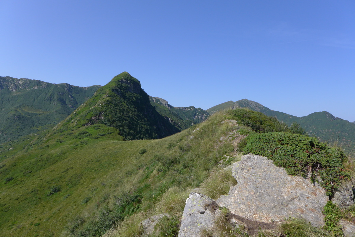p1050489.jpg