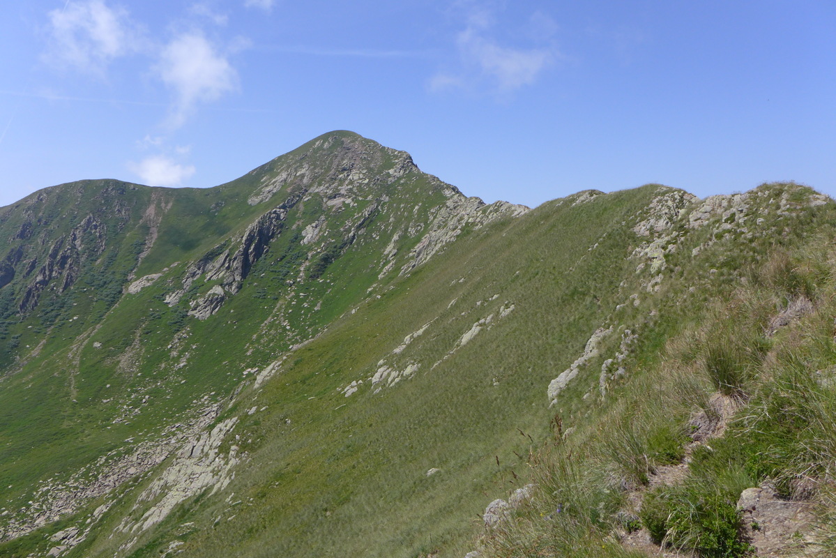 p1050497.jpg
