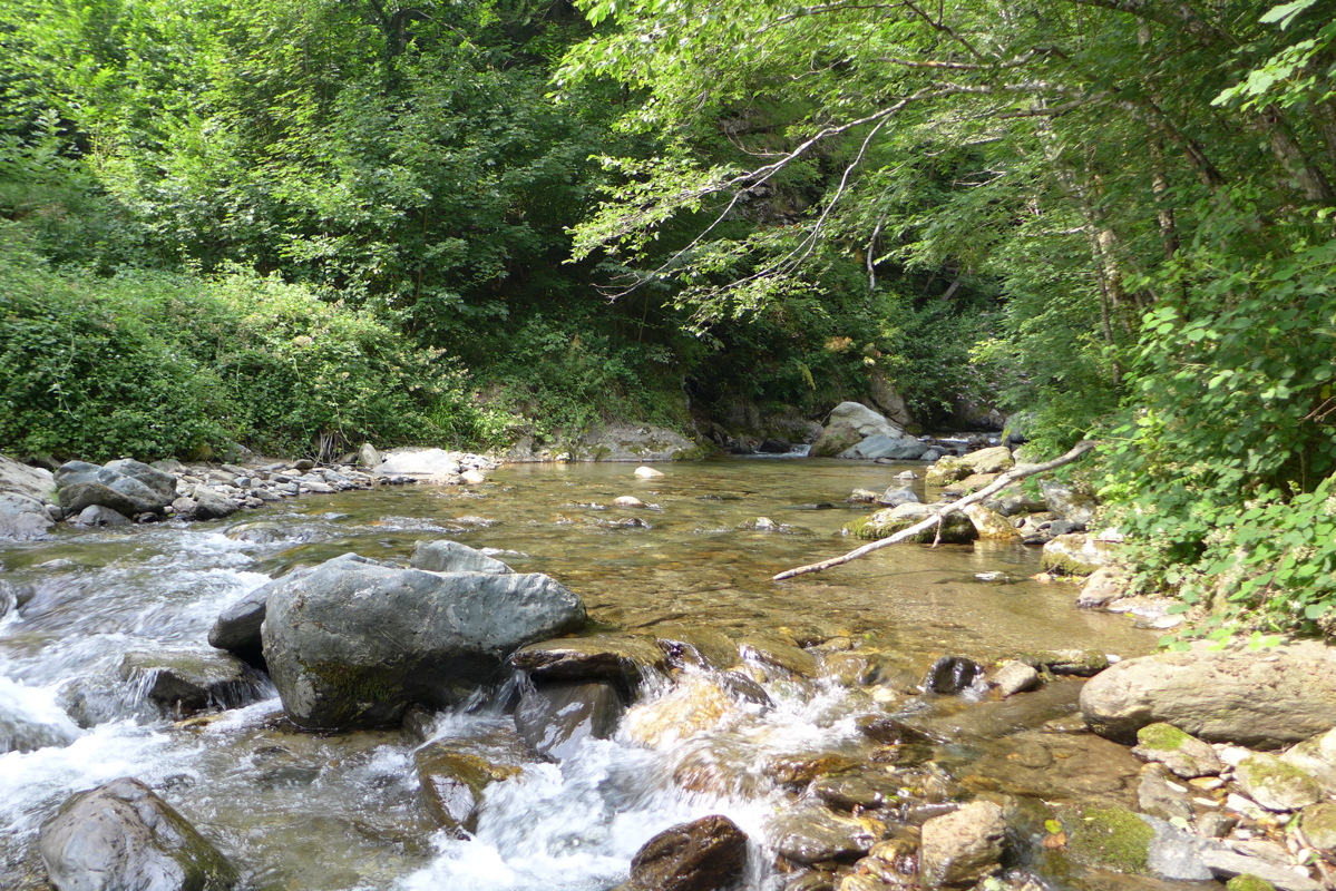p1050500.jpg