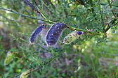 p1050443.jpg