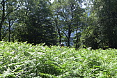 p1050449.jpg