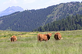 p1050455.jpg
