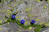 p1050468.jpg