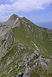 p1050470.jpg