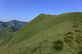 p1050487.jpg