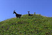 p1050490.jpg